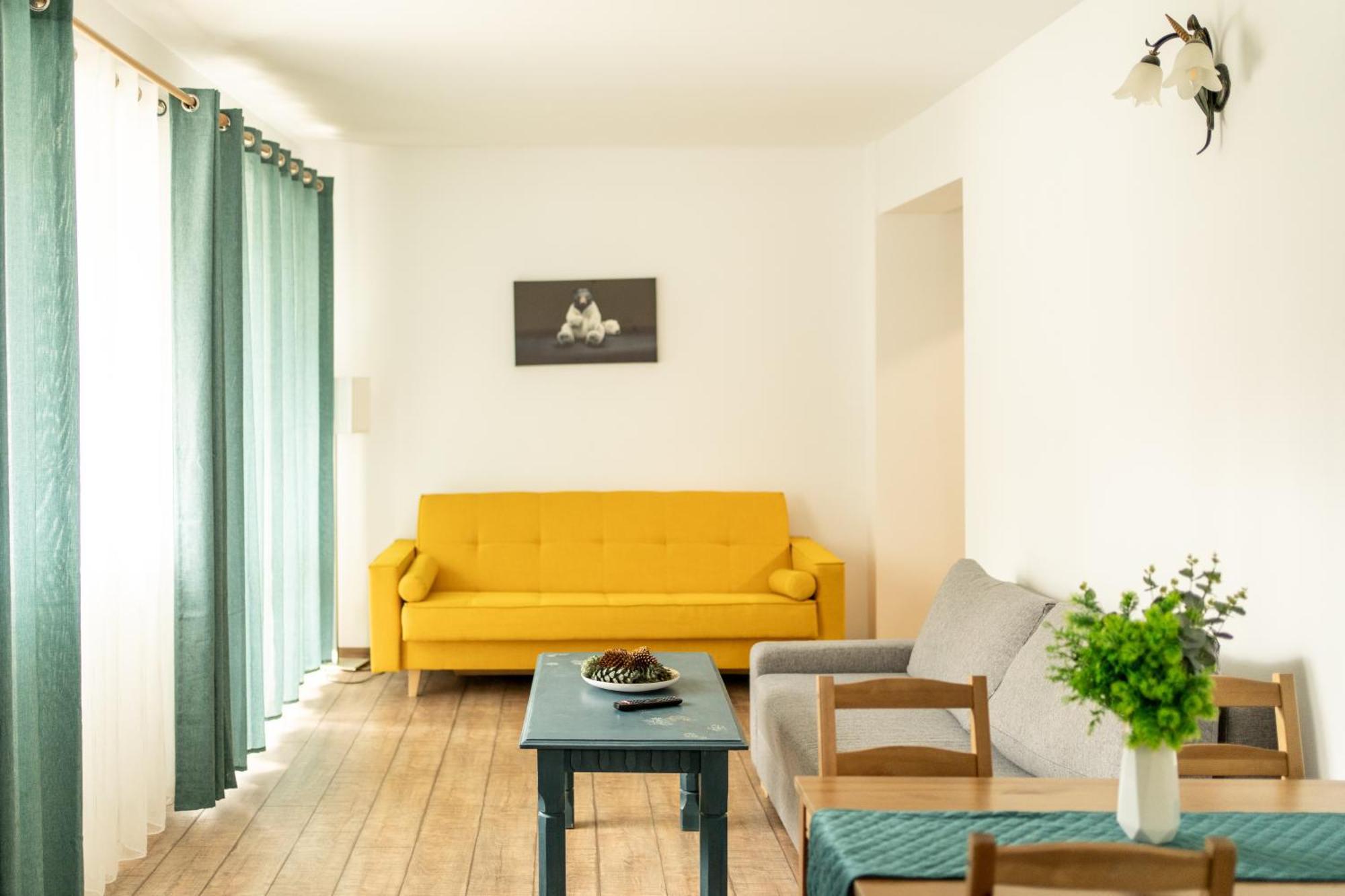 Dinvis Apartments ポイアナ・ブラショフ エクステリア 写真