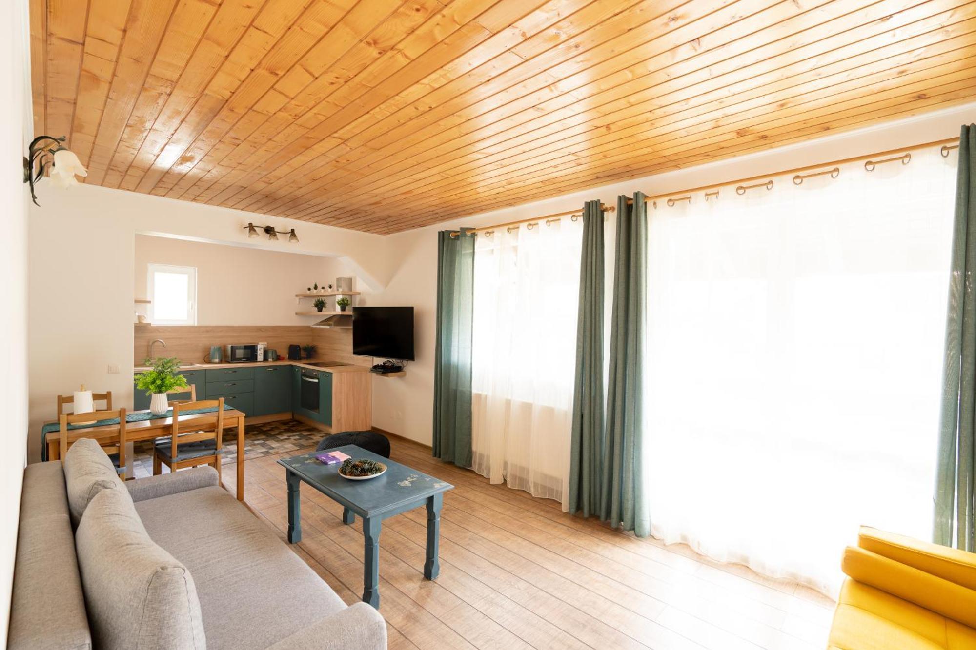 Dinvis Apartments ポイアナ・ブラショフ エクステリア 写真