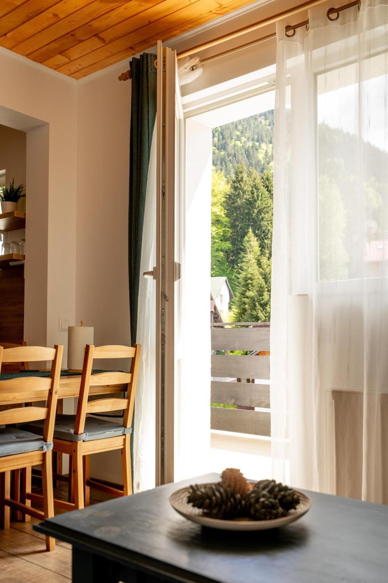 Dinvis Apartments ポイアナ・ブラショフ エクステリア 写真